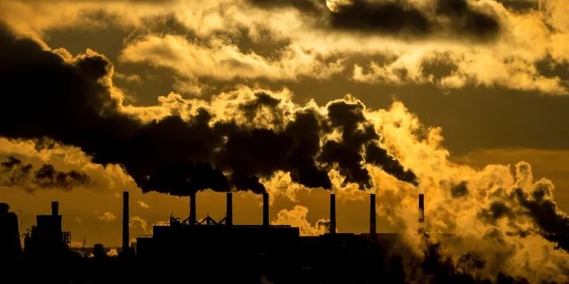 Contoh dan Skema Perdagangan Karbon, Panduan Praktis untuk Carbon Offset Perusahaan Anda